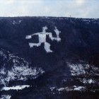 Lillehammer 1996 Olympischer Kahlschlagfackeltrger von 1994