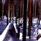 Mannerheimlinie Grenze Russland Finnland Panzersperre
