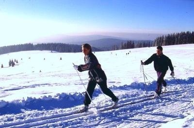 Langlauf in Todtnauberg